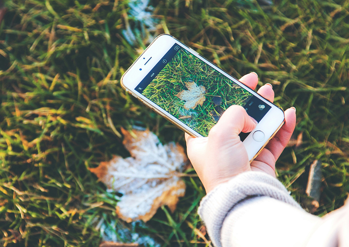 someone taking a picture of a leaf outside in nature with a phone