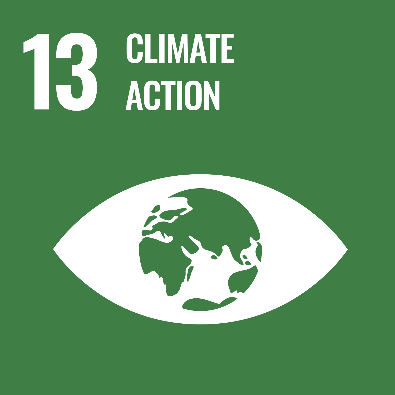 UN Sustainability Goal Icon #13