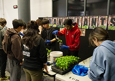 earth day event giving away tomato seedling transplants